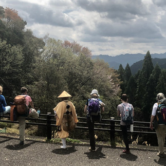 what a view in japan