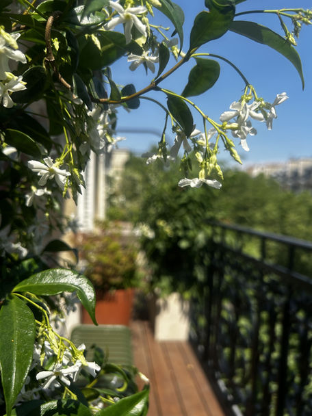 paysagiste paris, 
paysagiste terrasse paris, 
paysagiste balcon paris,
paysagiste rooftop paris, 
paysagiste jardin paris, 
balcon paris,
balcon filant paris,
terrasse paris, 
jardin suspendu paris,
aménagement paysager terrasse paris,
aménagement paysager balcon paris,
