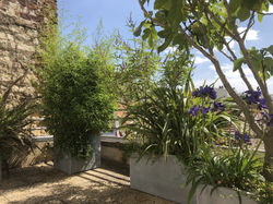 Terrassedumont08