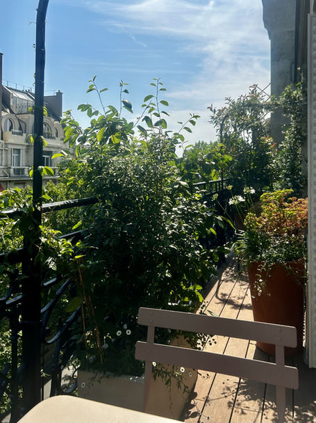 paysagiste paris, 
paysagiste terrasse paris, 
paysagiste balcon paris,
paysagiste rooftop paris, 
paysagiste jardin paris, 
balcon paris,
balcon filant paris,
terrasse paris, 
jardin suspendu paris,
aménagement paysager terrasse paris,
aménagement paysager balcon paris,
