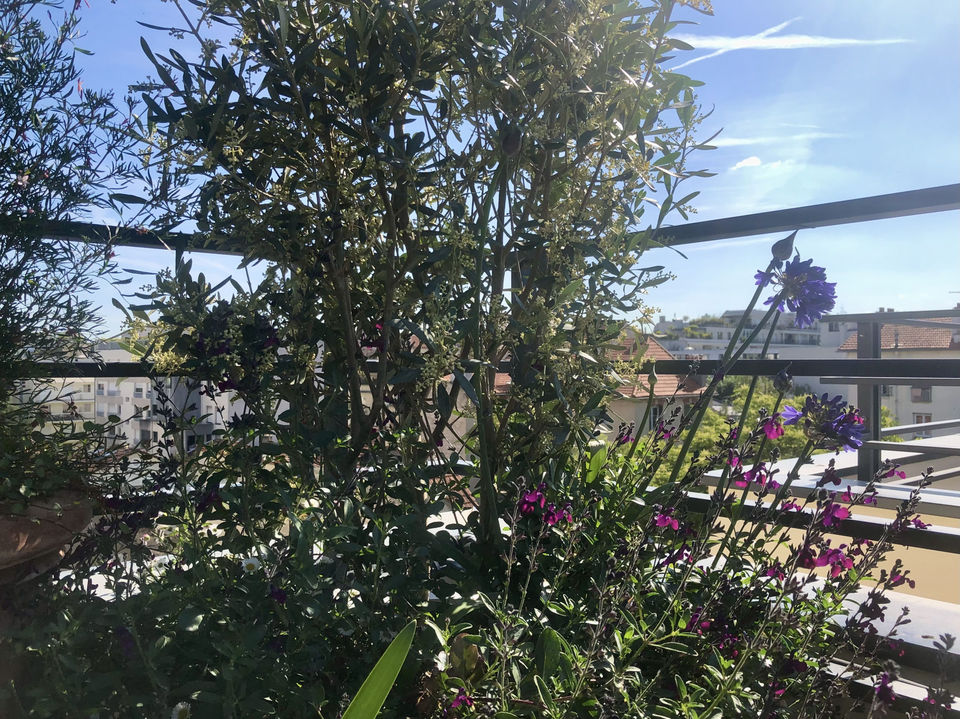 paysagiste paris, 
paysagiste terrasse paris, 
paysagiste balcon paris,
paysagiste rooftop paris, 
paysagiste jardin paris, 
balcon paris,
balcon filant paris,
terrasse paris, 
jardin suspendu paris,
aménagement paysager terrasse paris,
aménagement paysager rooftop paris,
