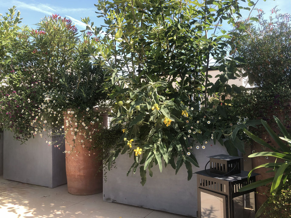 paysagiste paris,
paysagiste terrasse paris,
paysagiste balcon paris,
paysagiste rooftop paris,
paysagiste jardin paris,
balcon paris,
balcon filant paris,
terrasse paris,
jardin suspendu paris,
aménagement paysager terrasse paris,
aménagement paysager rooftop paris,