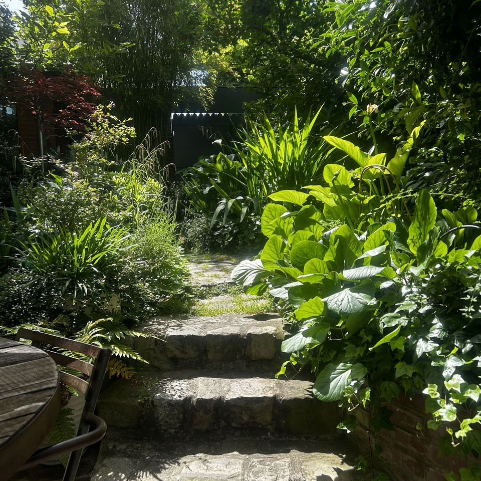 Escaliers en pierre et plantations dans un jardin de ville à Paris