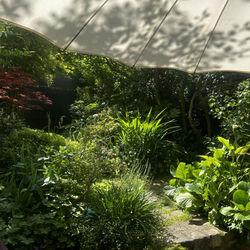 Jardin Sylvie 17