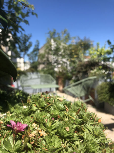 paysagiste paris, paysagiste terrasse paris, paysagiste rooftop paris, paysagiste toit terrasse paris, paysagiste balcon paris, paysagiste jardin paris, paysagiste haut de gamme paris, aménagement paysager terrasse paris