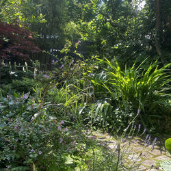 Jardin Sylvie 21