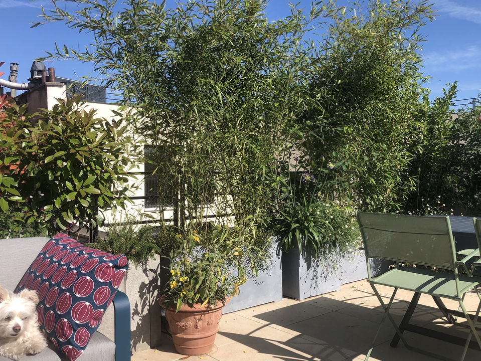 paysagiste paris,
paysagiste terrasse paris,
paysagiste balcon paris,
paysagiste rooftop paris,
paysagiste jardin paris,
balcon paris,
balcon filant paris,
terrasse paris,
jardin suspendu paris,
aménagement paysager terrasse paris,
aménagement paysager rooftop paris,