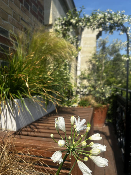 paysagiste paris, 
paysagiste terrasse paris, 
paysagiste balcon paris,
paysagiste rooftop paris, 
paysagiste jardin paris, 
balcon paris,
balcon filant paris,
terrasse paris, 
jardin suspendu paris,
aménagement paysager terrasse paris,
aménagement paysager balcon paris,
