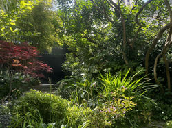 Jardin Sylvie 15