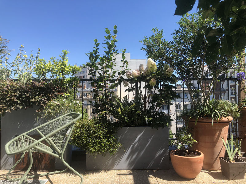 paysagiste paris, paysagiste terrasse paris, paysagiste rooftop paris, paysagiste toit terrasse paris, paysagiste balcon paris, paysagiste jardin paris, paysagiste haut de gamme paris, aménagement paysager terrasse paris