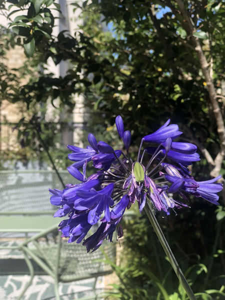 paysagiste paris, paysagiste terrasse paris, paysagiste rooftop paris, paysagiste toit terrasse paris, paysagiste balcon paris, paysagiste jardin paris, paysagiste haut de gamme paris, aménagement paysager terrasse paris