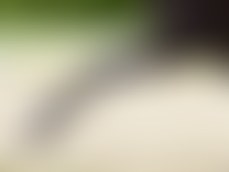 Cool Legs, Cool Heads: Supporting the British Eventing Season with Ice, Freezers & Fridge Hire