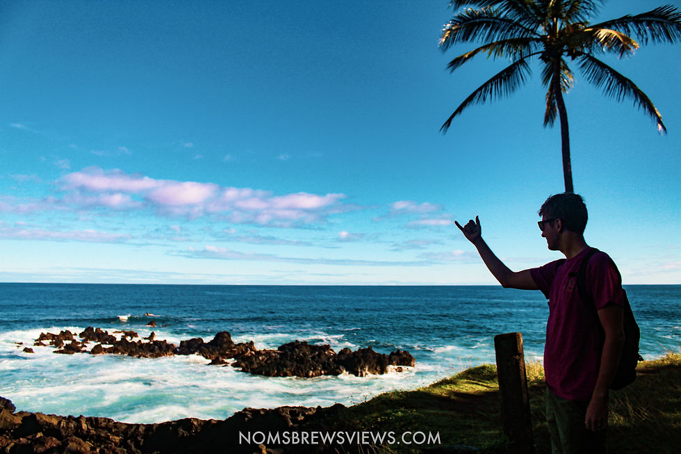 The Ultimate 2-Week Hawaii Travel Guide: Maui to Kauai Adventure