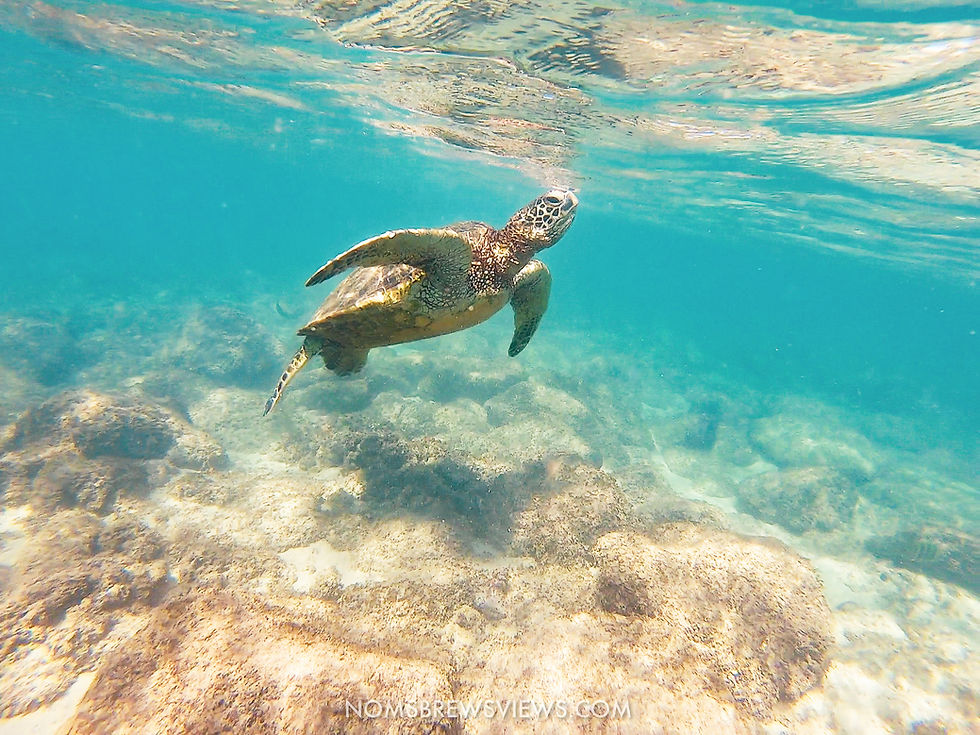 The Ultimate 2-Week Hawaii Travel Guide: Maui to Kauai Adventure