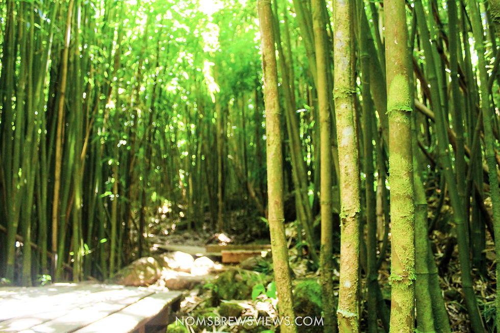 Top Stops on the Road to Hana Maui Hawaii