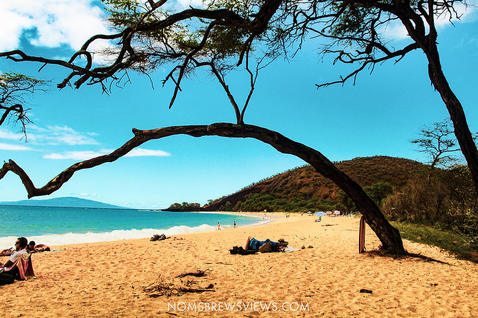 The Ultimate 2-Week Hawaii Travel Guide: Maui to Kauai Adventure