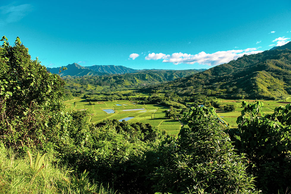 Kauai, Hawaii: Top Things to Do, Eat, and Drink