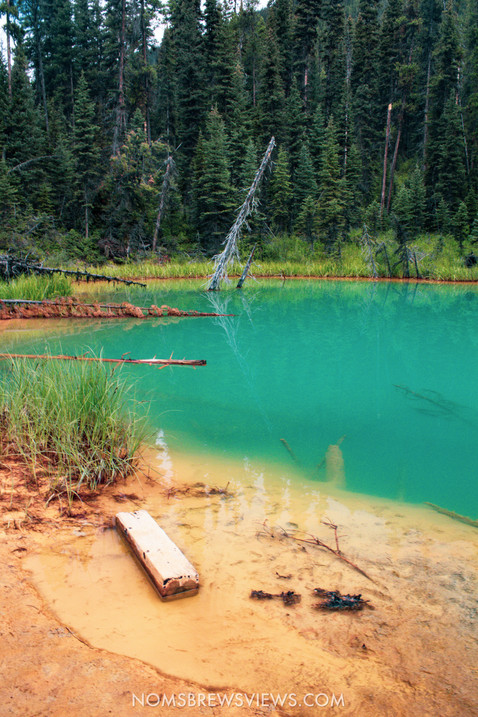 Top Things To Do in Banff National Park