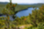 Scenic view of lush green trees overlooking a serene blue lake surrounded by forested hills under a clear sky. Peaceful and natural.