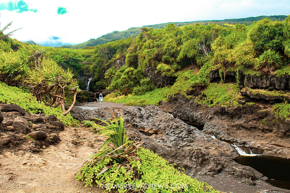 Top Stops on the Road to Hana Maui Hawaii
