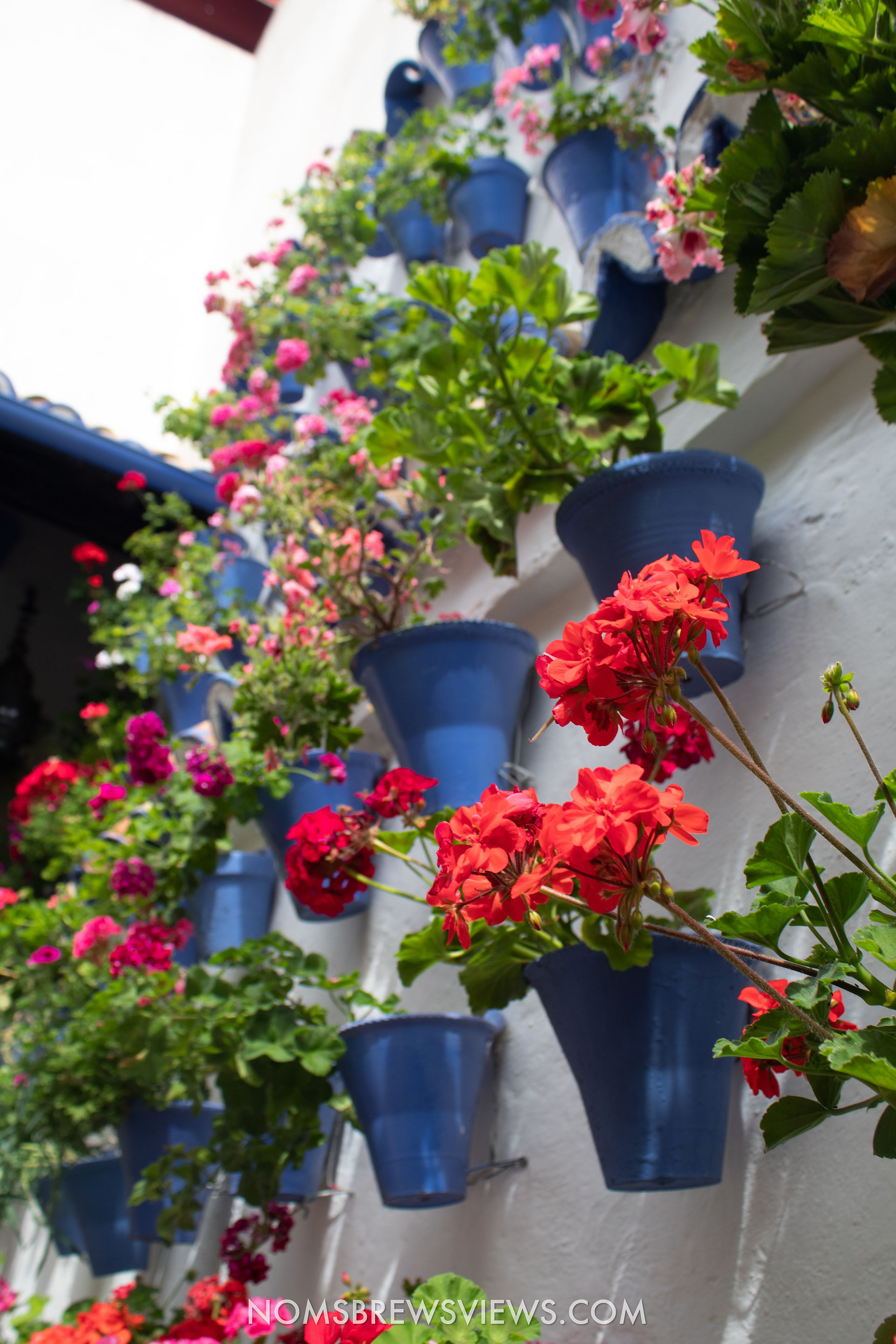 Uncover the Hidden Gems: A Comprehensive Guide of Top Things To Do in Cordoba, Spain
