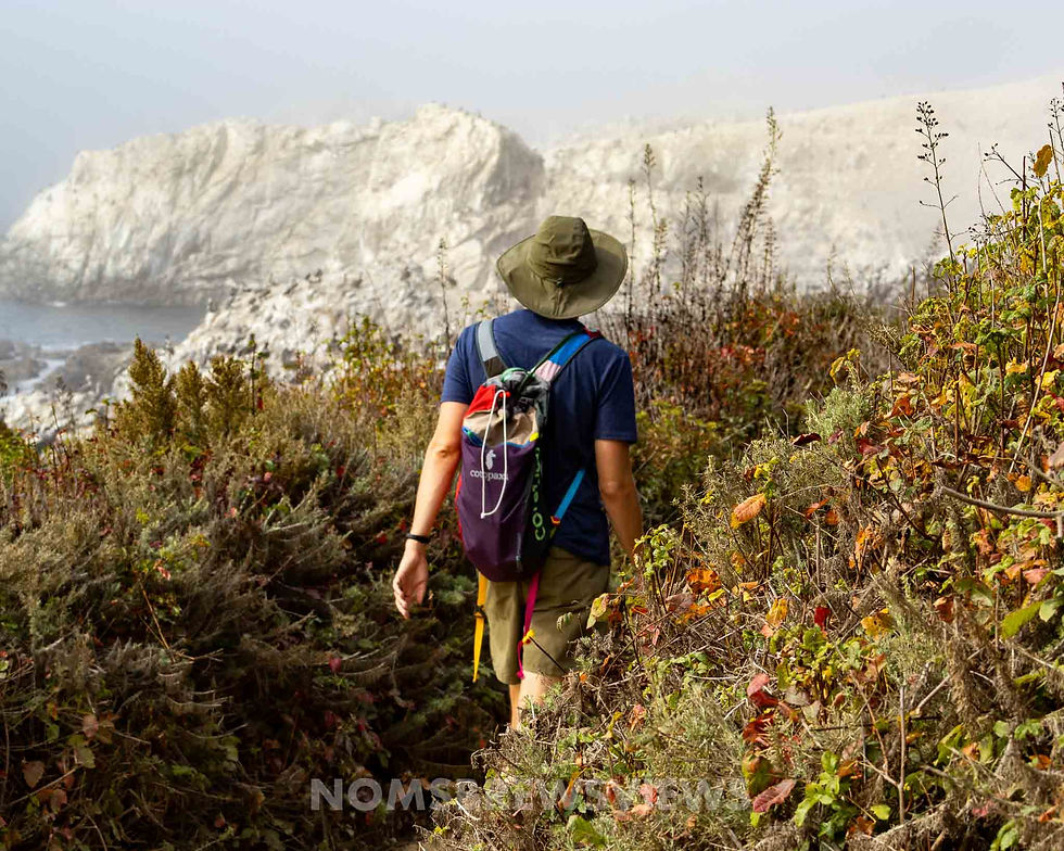 A person with a backpack hikes through lush coastal vegetation, heading towards white rocky cliffs. The scene is serene and natural.