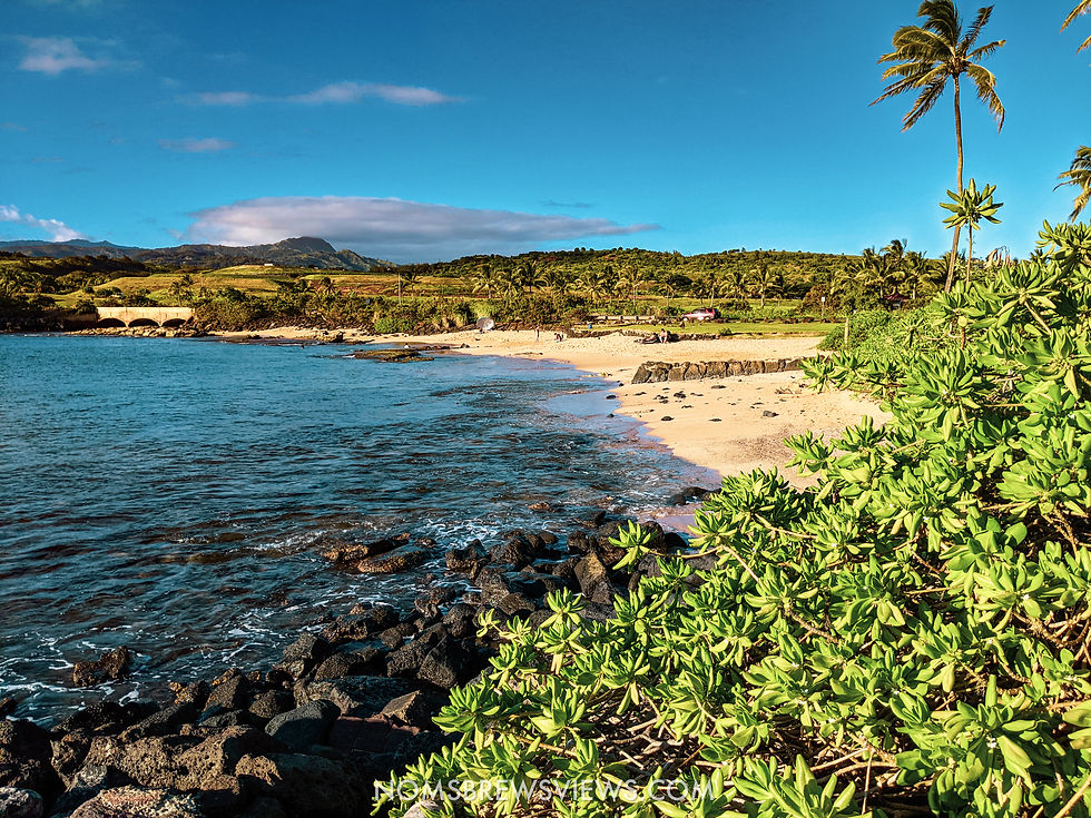 The Ultimate 2-Week Hawaii Travel Guide: Maui to Kauai Adventure