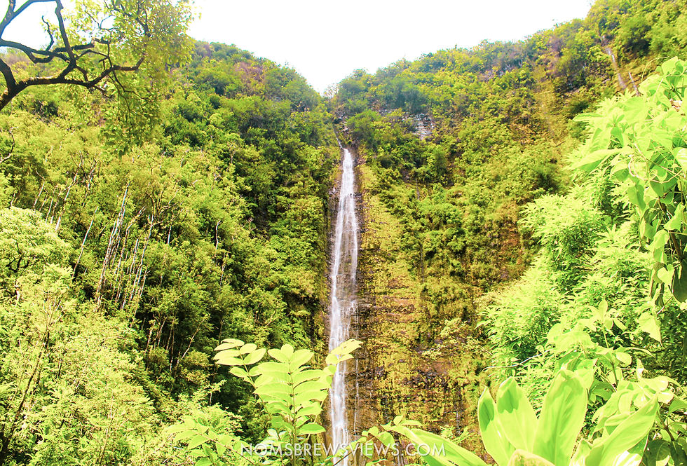 Top Stops on the Road to Hana Maui Hawaii