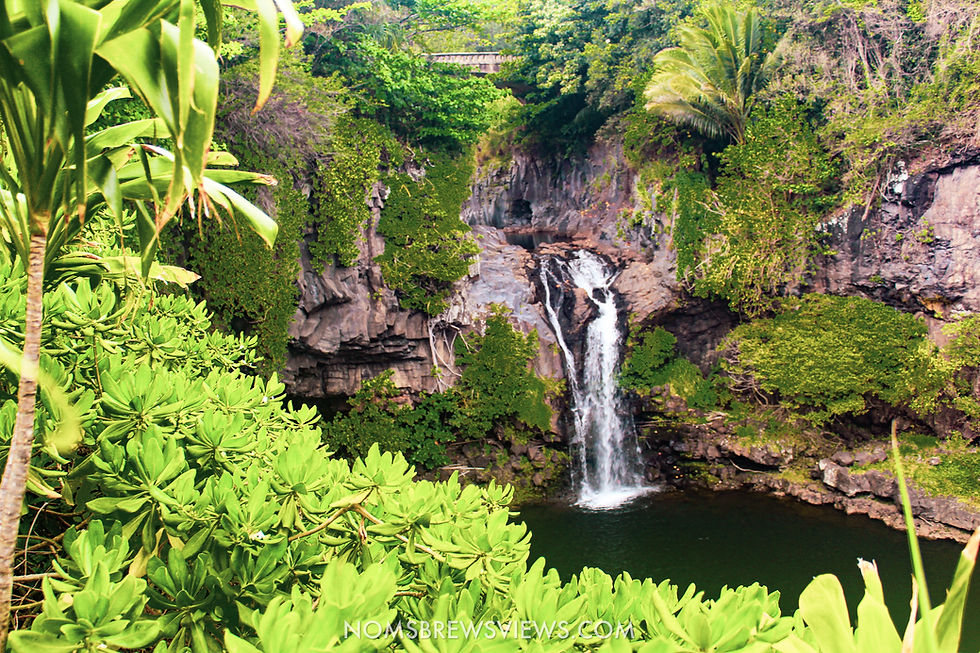 Top Stops on the Road to Hana Maui Hawaii