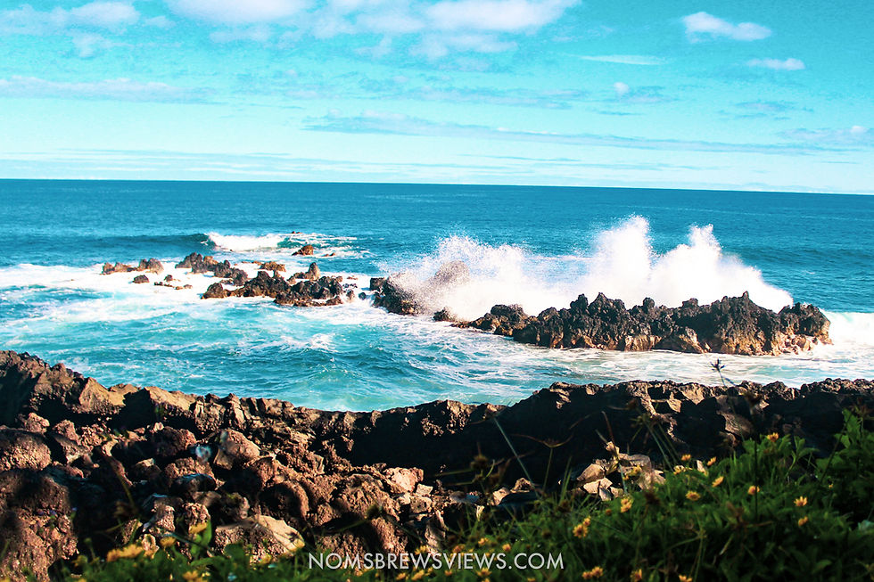 Top Stops on the Road to Hana Maui Hawaii