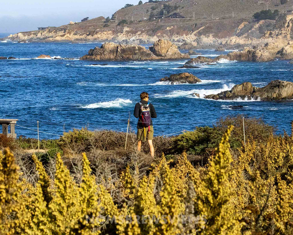 Person with backpack stands on a coastal path, overlooking the ocean with waves and rocky cliffs. Foreground has yellow bushes, clear sky.