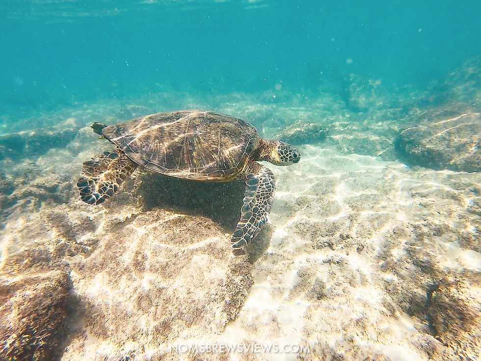 The Ultimate 2-Week Hawaii Travel Guide: Maui to Kauai Adventure
