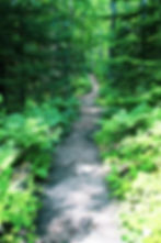 Top Things to Do in Marquette Michigan
