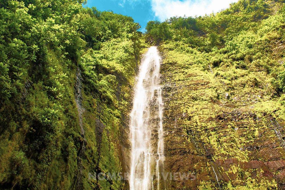 Top Stops on the Road to Hana Maui Hawaii