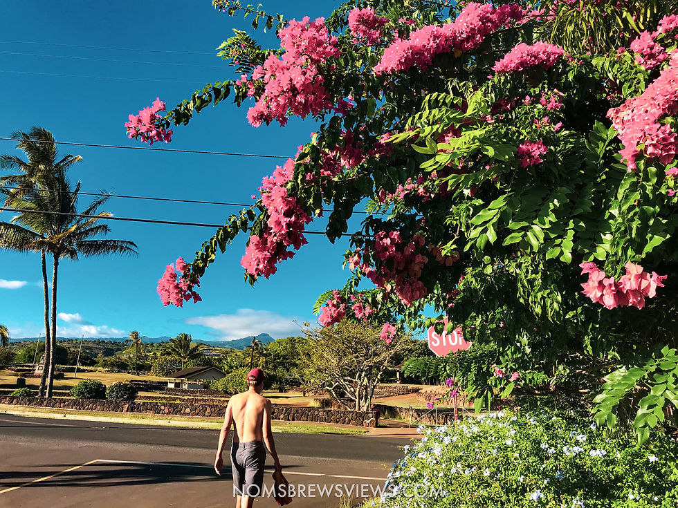 The Ultimate 2-Week Hawaii Travel Guide: Maui to Kauai Adventure