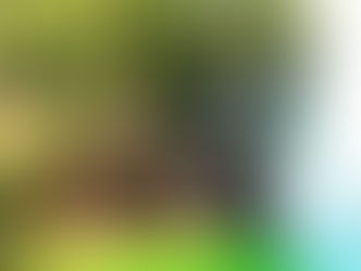 10 Epic Things to Do at Pictured Rocks National Lakeshore