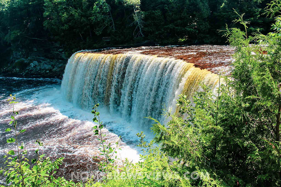 Top Things To Do at Tahquamenon Falls State Park