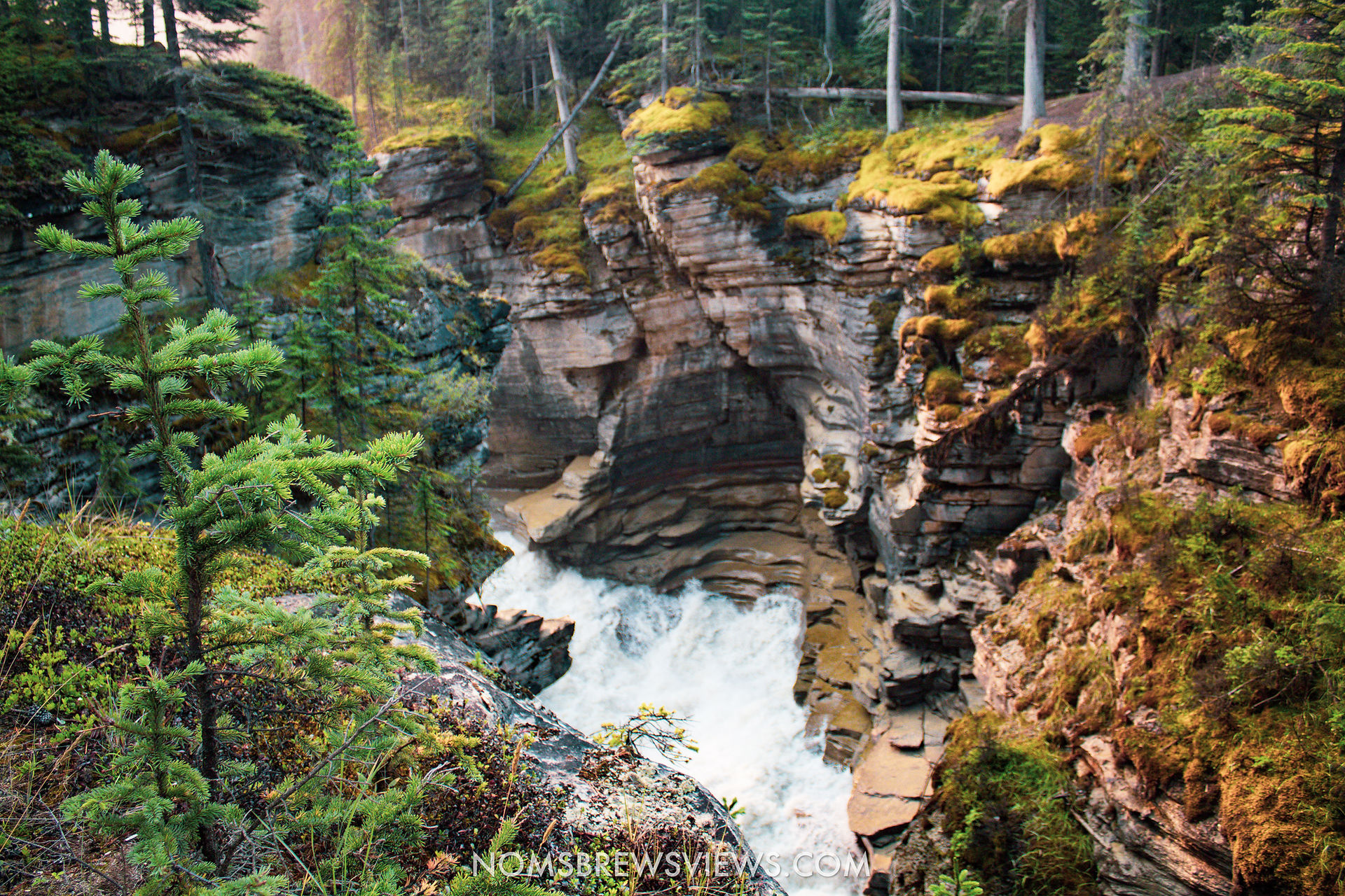 Top 10 Stops of the Icefields Parkway in the Canadian Rockies