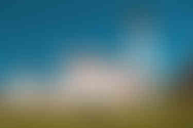 Top Things To Do at Tahquamenon Falls State Park