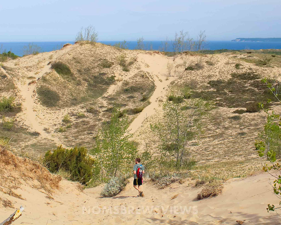 A person with a red backpack walks through sandy dunes towards the blue ocean under a clear sky. Text reads: MomsBrewReviews.