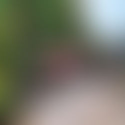 Asheville Brew Tour (Top 7 Breweries You Cannot Miss)