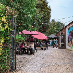 Asheville Brew Tour (Top 7 Breweries You Cannot Miss)