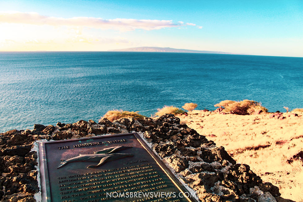 The Ultimate 2-Week Hawaii Travel Guide: Maui to Kauai Adventure