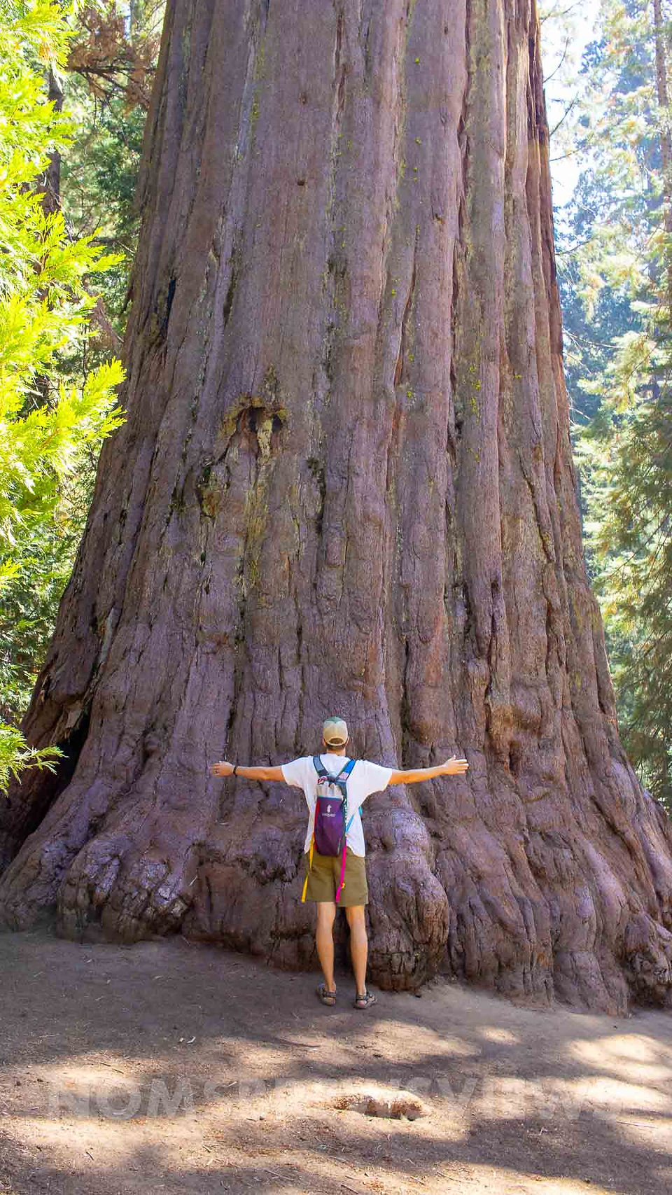 Unveiling Nature's Wonders: Top Attractions in Yosemite and Sequoia National Parks