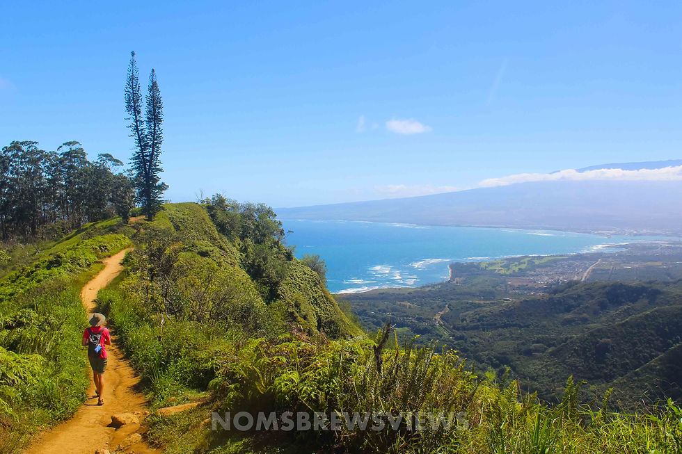15 Things to Do in Maui: Unforgettable Adventures