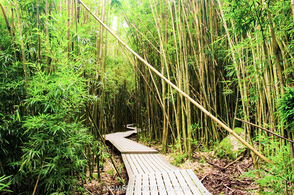 Top Stops on the Road to Hana Maui Hawaii