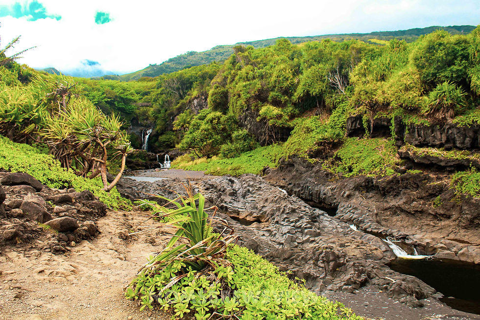 15 Things to Do in Maui: Unforgettable Adventures