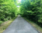A tranquil path in a dense green forest under bright sunlight, with the word "NOMSBREWSVIEWS" faintly visible on the road.