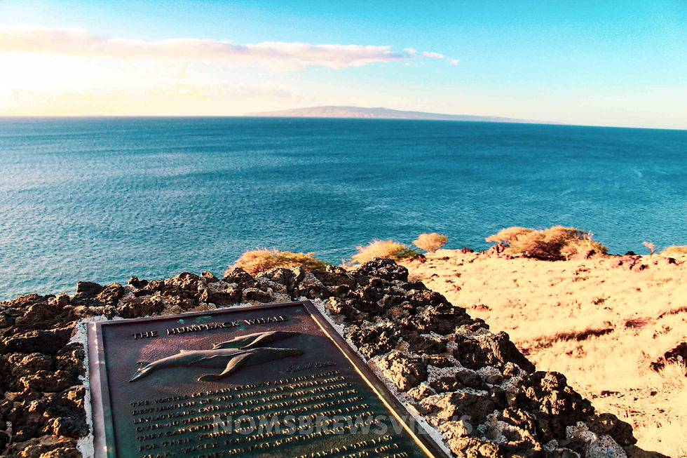 15 Things to Do in Maui: Unforgettable Adventures