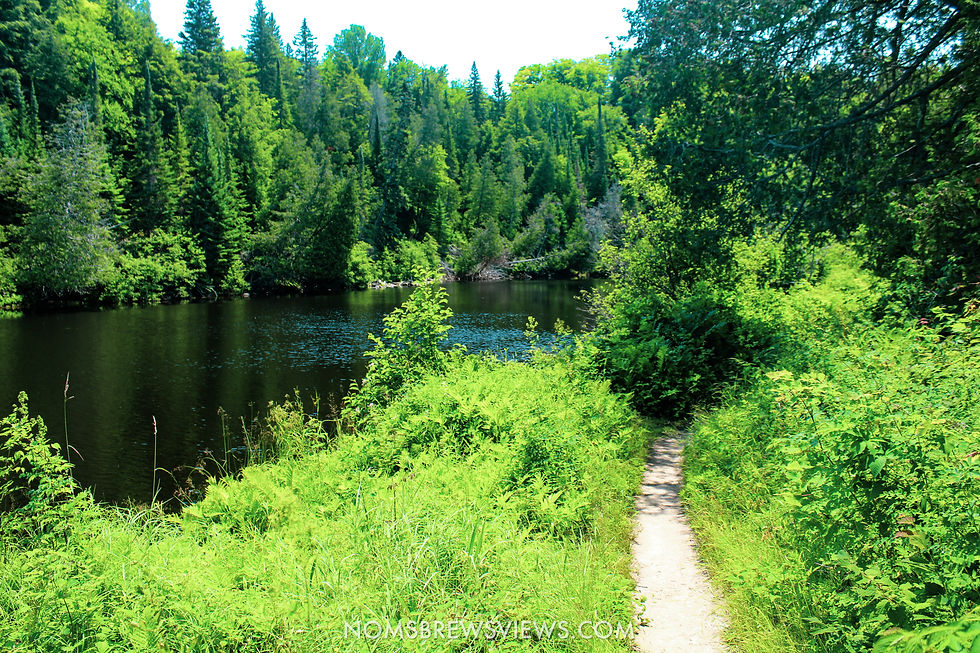 Top Things To Do at Tahquamenon Falls State Park